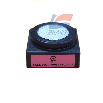PM989-600A-CIT 1LEL 75C เครื่องตรวจจับก๊าซเผาไหม้