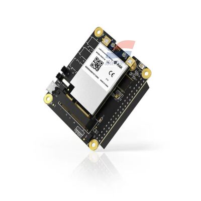 YJJ RAK5146 PiHAT Concentrator Module เหมาะสําหรับ LoRaWAN สําหรับการรวบรวมข้อมูลจากเซ็นเซอร์
